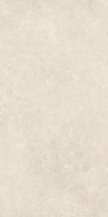 Untamed Wander Warm 24 x 48